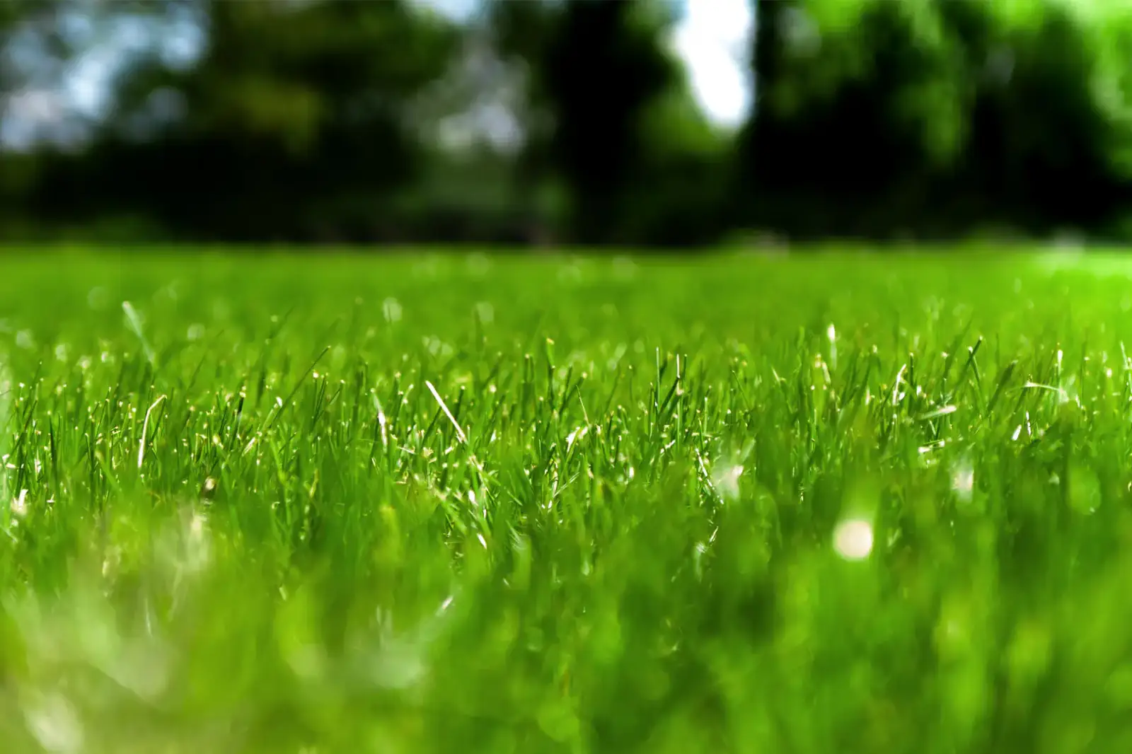 Twc Header Image 01