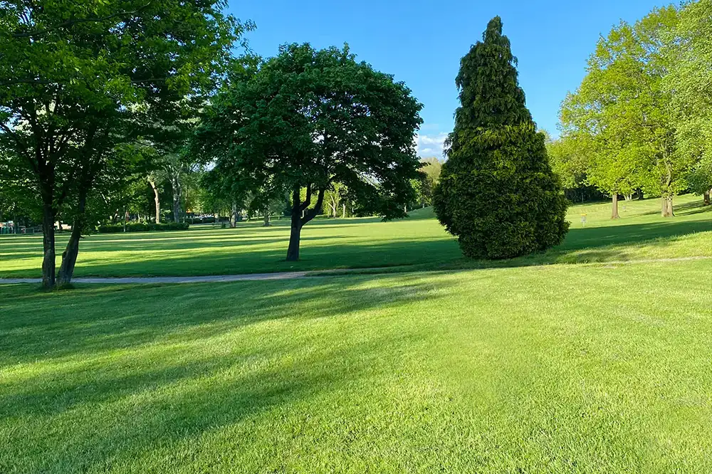 Twc Header Image 02