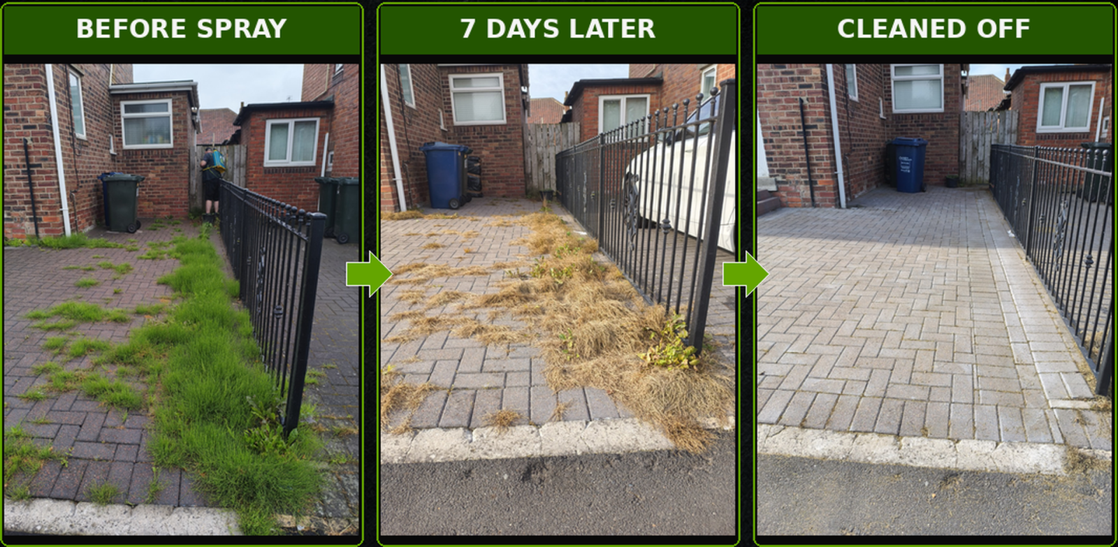 Weed killing North East &ndash; professional weed control before and after treatment